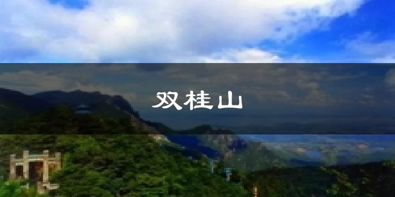 双桂山天气预报十五天