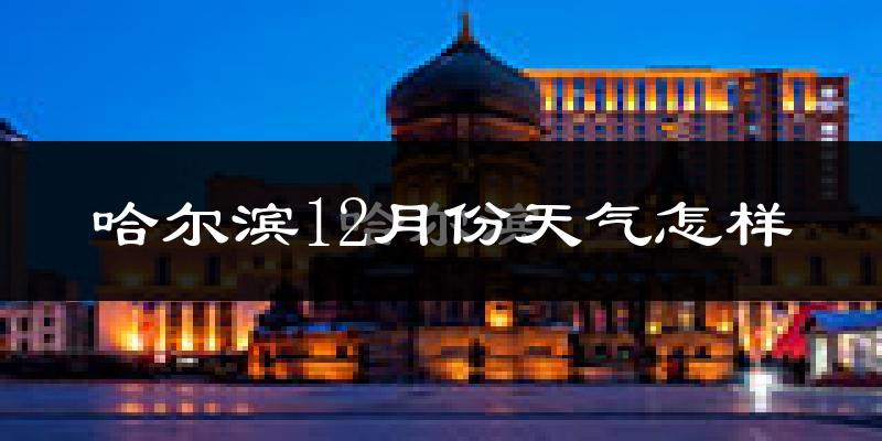 哈尔滨12月份天气怎样?哈尔滨十二月冷吗?