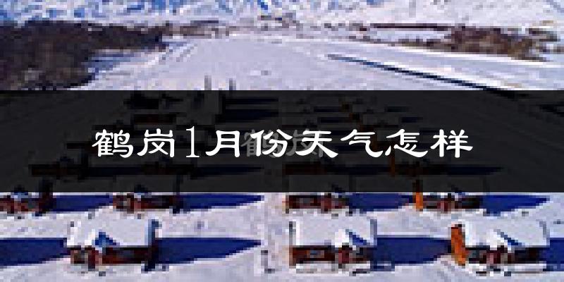 鹤岗市1月份天气如何?很冷吗?