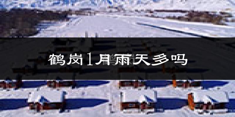 鹤岗1月雨天多吗?