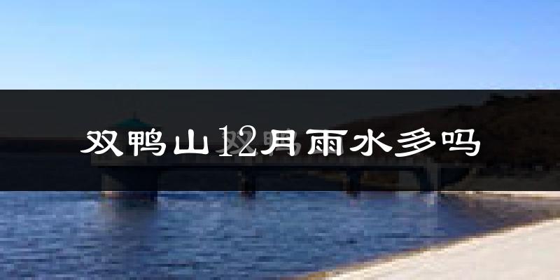 双鸭山12月雨水多吗?