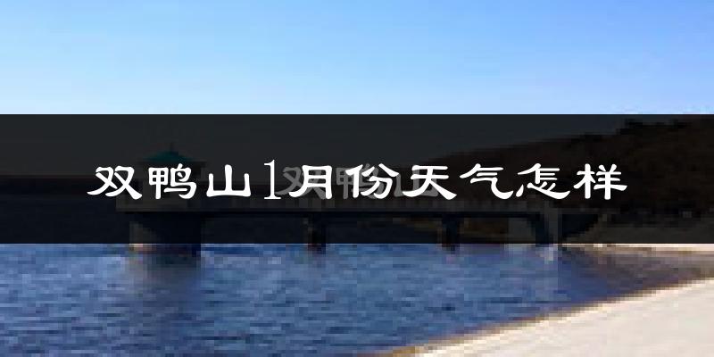 双鸭山市1月份天气如何?很冷吗?