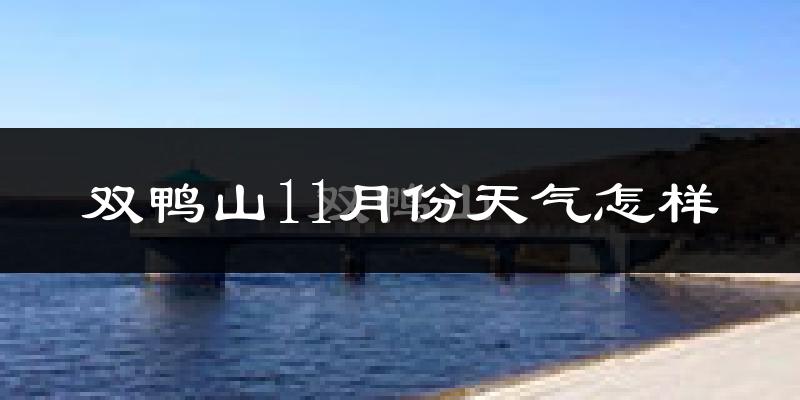 双鸭山11月份天气怎样?双鸭山十一月冷不冷?