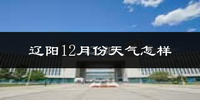 辽阳12月份天气怎样?辽阳十二月冷吗?