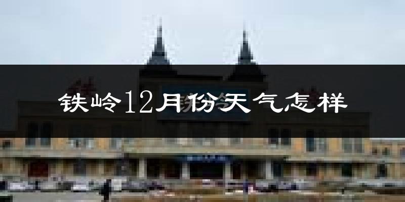 铁岭12月份天气怎样?铁岭十二月冷不冷?