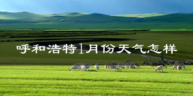 呼和浩特市1月份天气如何?很冷吗?