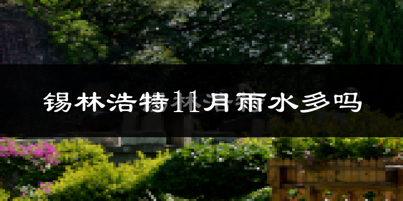 锡林浩特11月雨水多吗?