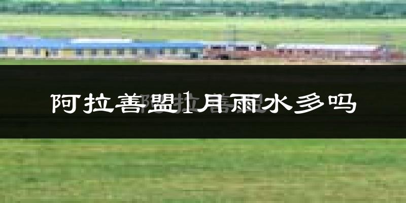 阿拉善盟1月雨水多吗?