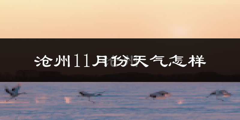 沧州11月份天气怎样?沧州十一月冷吗?