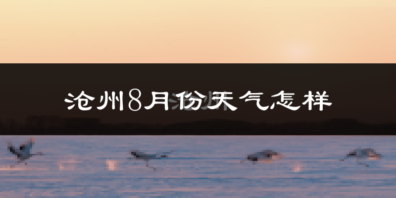 沧州市8月份天气如何?很热吗?