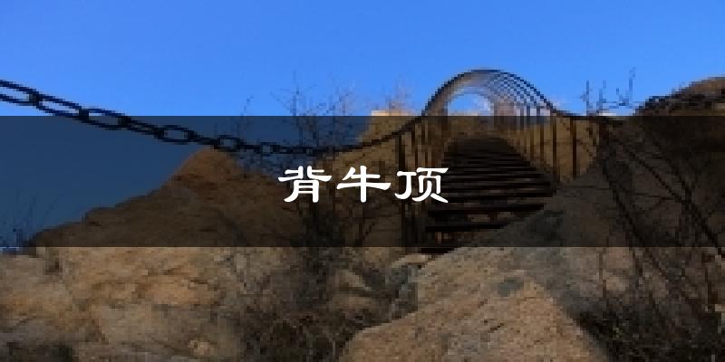 背牛顶天气预报十五天