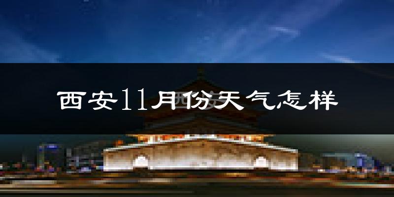 西安11月份天气怎样?西安十一月冷吗?
