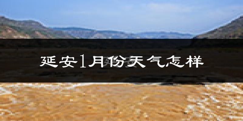 延安市1月份天气如何?很冷吗?