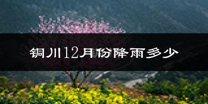 铜川12月份降雨多少?