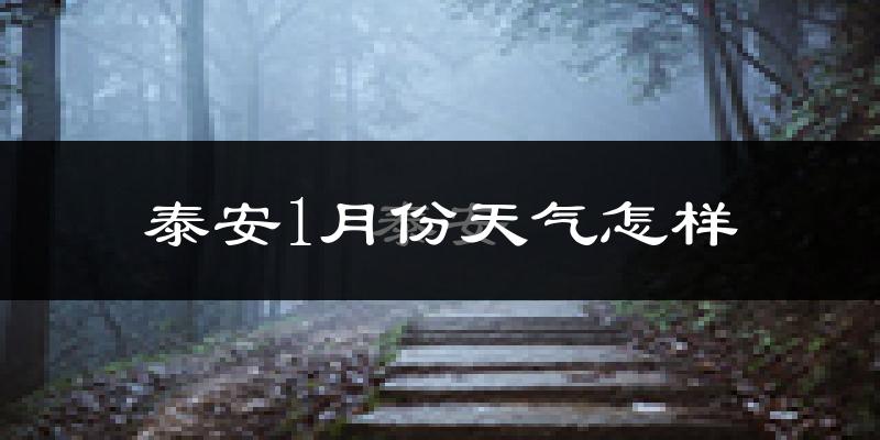 泰安市1月份天气如何?很冷吗?