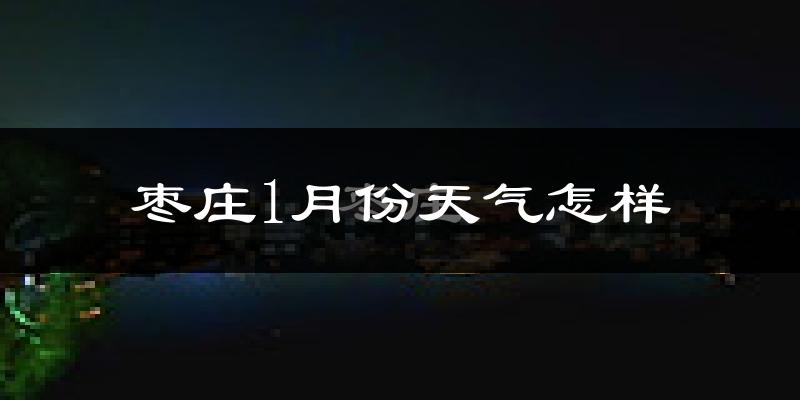 枣庄市1月份天气如何?很冷吗?
