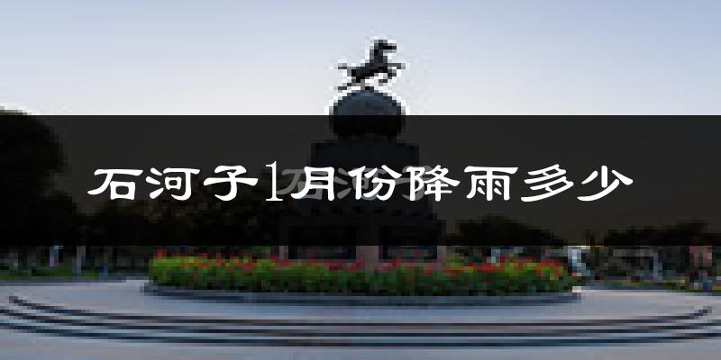石河子1月份降雨多少?