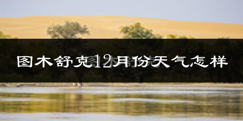 图木舒克12月份天气怎样?图木舒克十二月冷吗?
