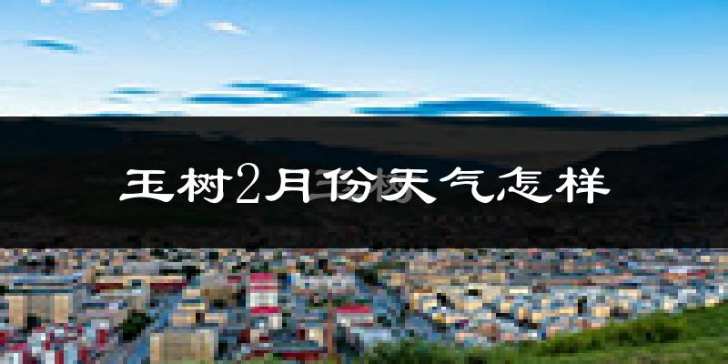 玉树市2月份天气如何?很冷吗?