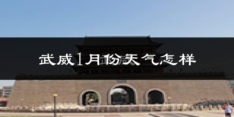 武威市1月份天气如何?很冷吗?