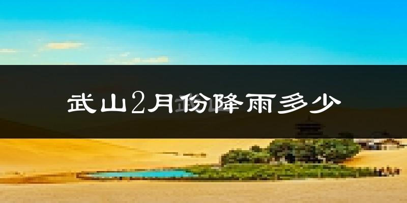 武山2月份降雨多少?