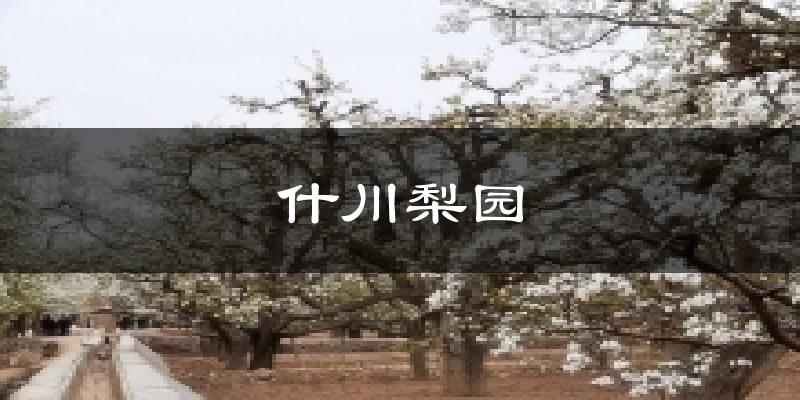 什川梨园气温