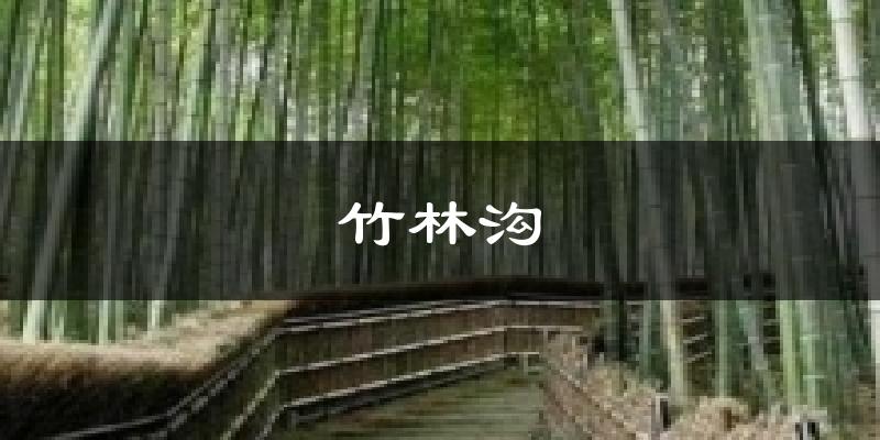 竹林沟气温