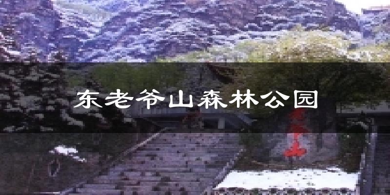 东老爷山森林公园气温