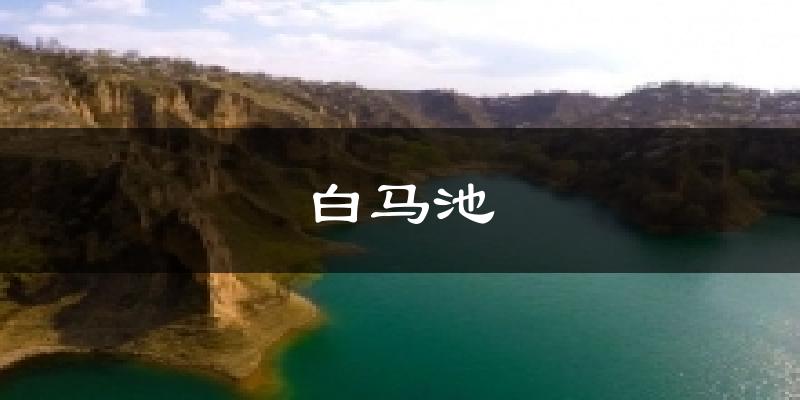 白马池气温