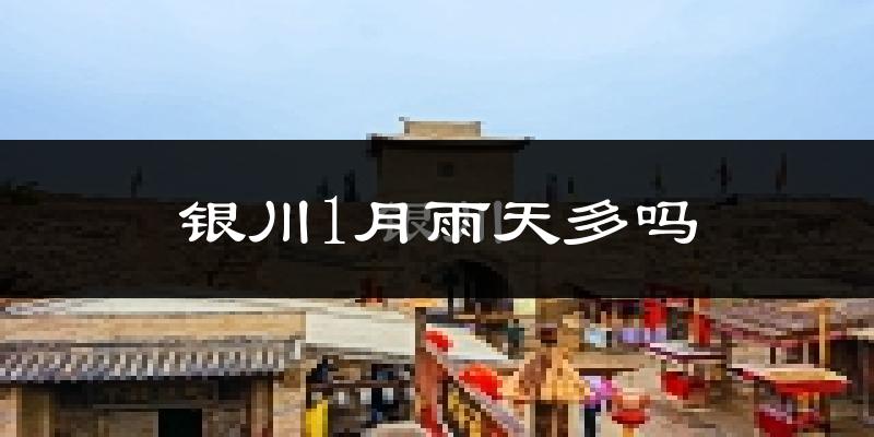 银川1月雨天多吗?