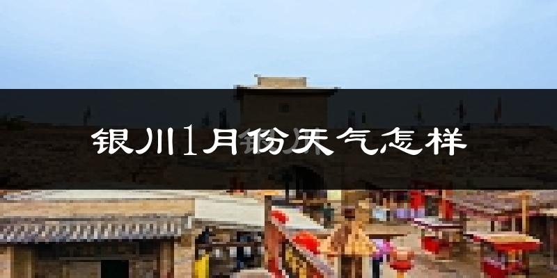 银川市1月份天气如何?很冷吗?