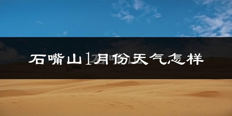 石嘴山市1月份天气如何?很冷吗?