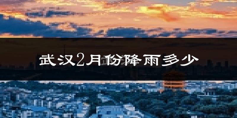 武汉2月份降雨多少?