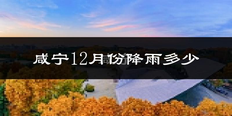 咸宁12月份降雨多少?