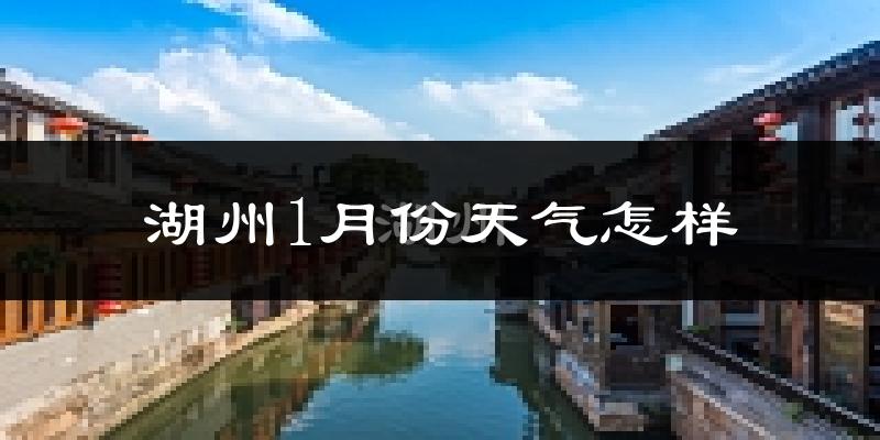 湖州市1月份天气如何?很冷吗?