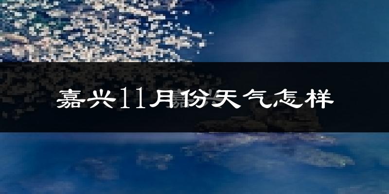 嘉兴11月份天气怎样?嘉兴十一月冷不冷?