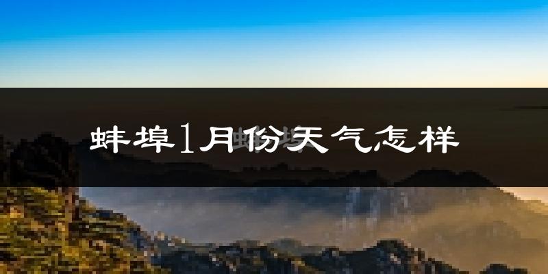 蚌埠市1月份天气如何?很冷吗?
