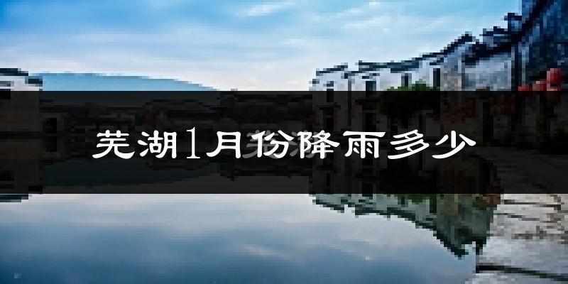 芜湖1月份降雨多少?
