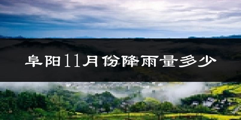 阜阳11月份降雨量多少?阜阳十一月下雨多吗?