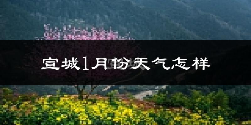 宣城市1月份天气如何?很冷吗?