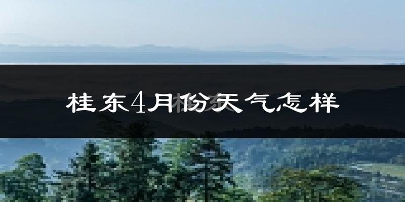 桂东县4月份天气如何?冷热情况怎么样?