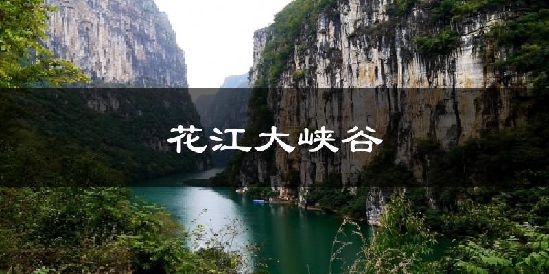 花江大峡谷天气预报十五天