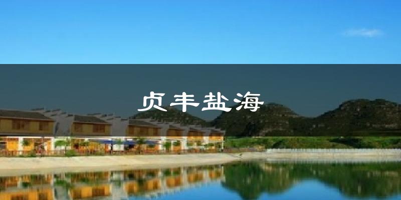 贞丰盐海天气预报十五天