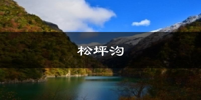 松坪沟天气预报十五天