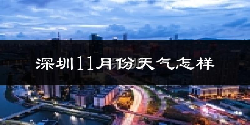 深圳11月份天气怎样?深圳十一月冷不冷?