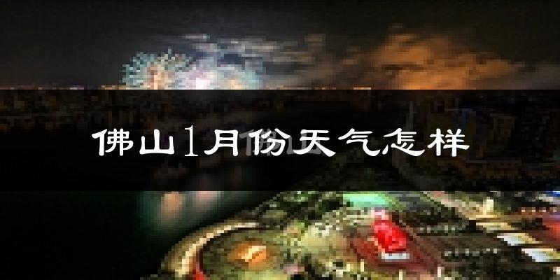 佛山1月份天气如何?冷吗?