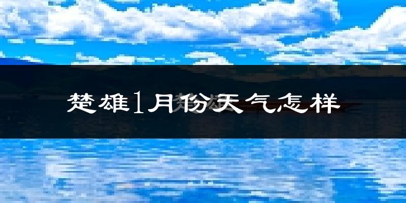 楚雄市1月份天气如何?很冷吗?