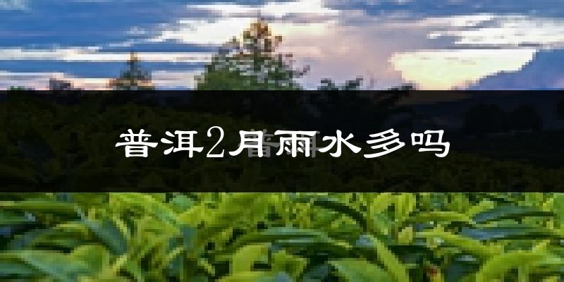 普洱2月雨水多吗?