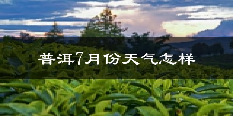 普洱市7月份天气如何?很热吗?