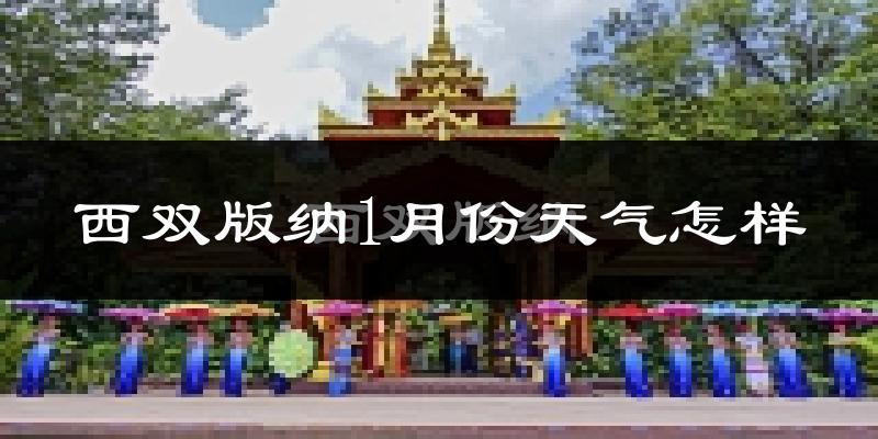 西双版纳1月份天气如何?冷吗?